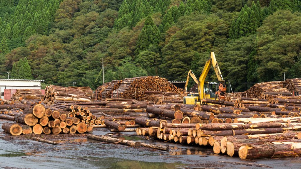 Timber industry